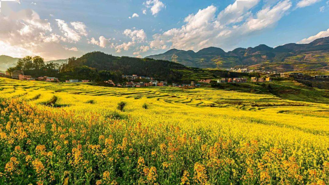 1710902381828565.jpeg 图片01.jpeg