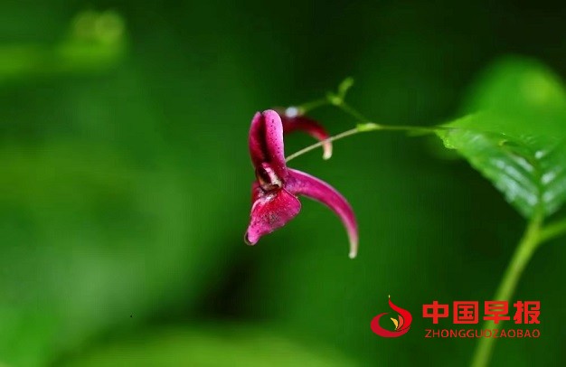 1719191119208660.jpg 微信图片_20240624090249.jpg