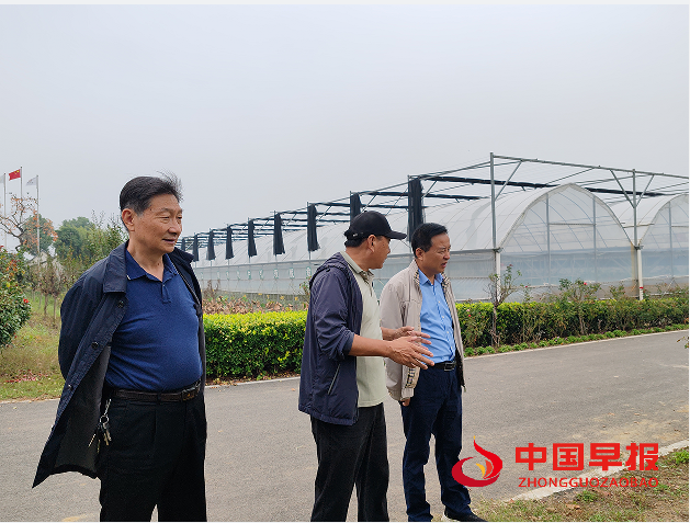 1729139884205730.png 3.png