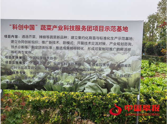 1729139921134702.png 5.png