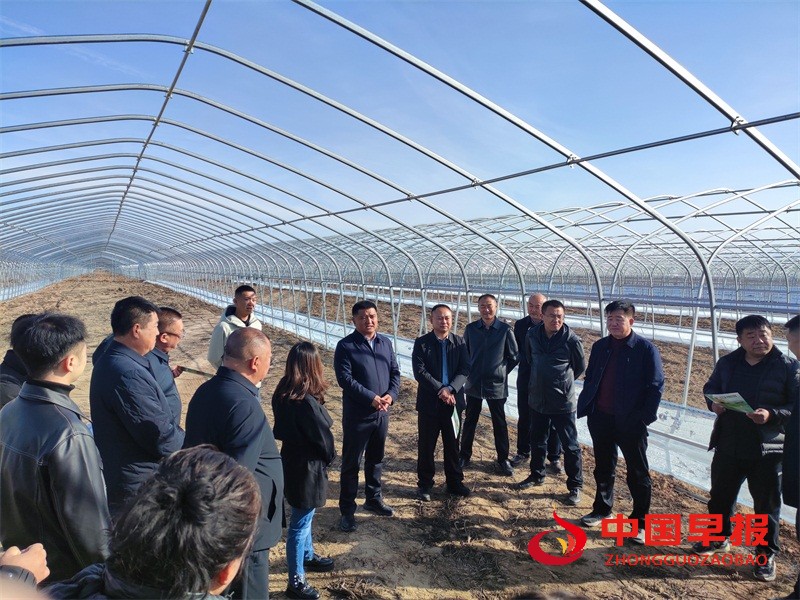 1732072310340397.jpg 图片06.jpg