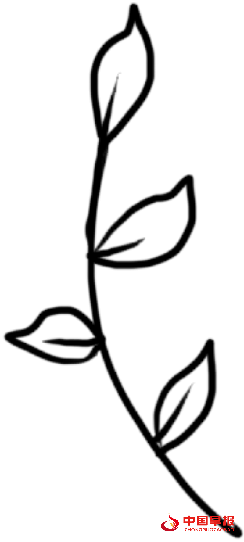 1744447906544794.png 640_副本.png