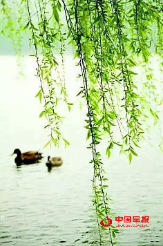 1748949891476460.png 微信图片_20250603191832.png