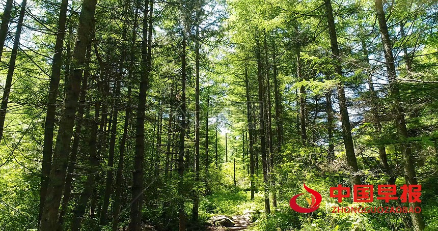 1748949908542620.jpg 微信图片_20250603191840.jpg