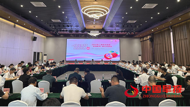 1749613911150026.png 11.png