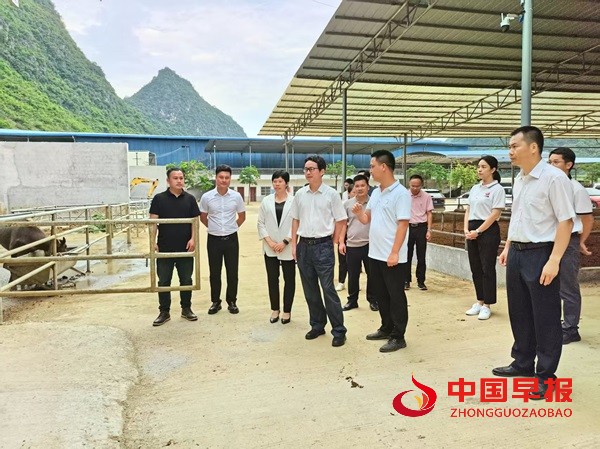 1749647550136109.jpg 微信图片_20250611204814.jpg