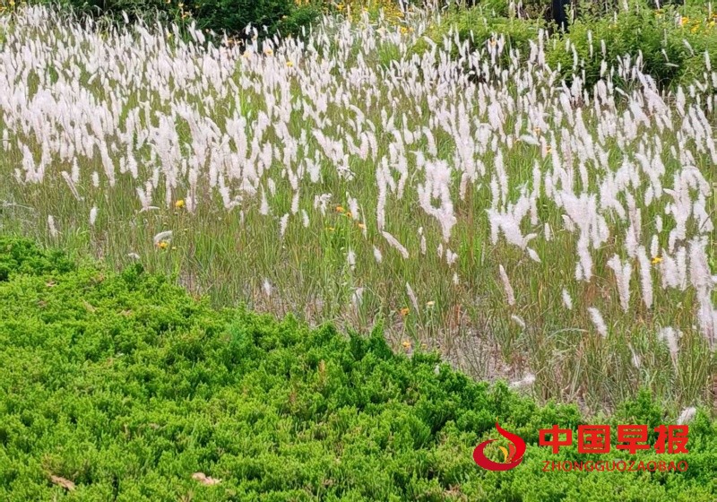 1750673395168831.jpg 2_副本.jpg