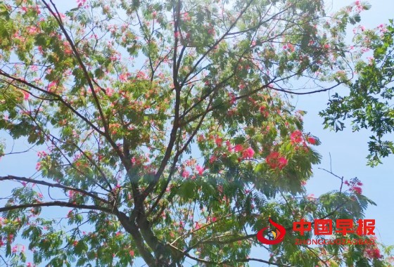 1751950817184992.jpg 微信图片_20250708125014_副本.jpg