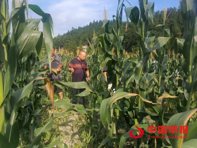 1753523630122624.jpg 图片3.jpg