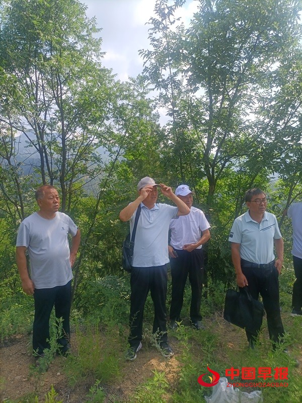 1753795540162264.jpg 微信图片_20250729211426.jpg