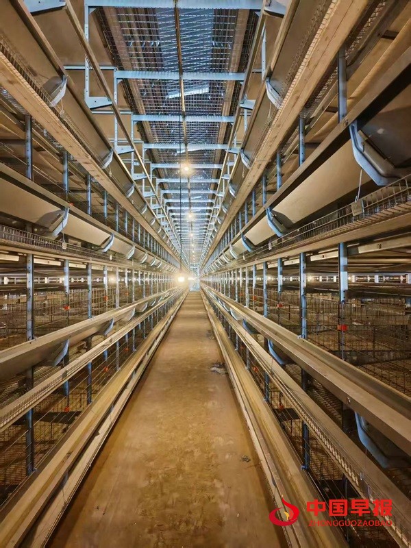 1755566401592858.jpg 图片4.jpg