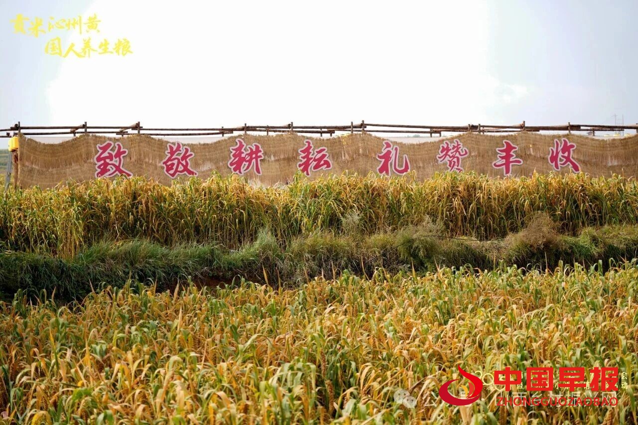 1759194233388813.jpg 图片03.jpg