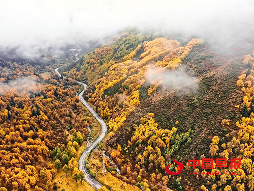 青海海东延续“绿色接力” 聚力绘就河湟谷地生态画卷(图4)