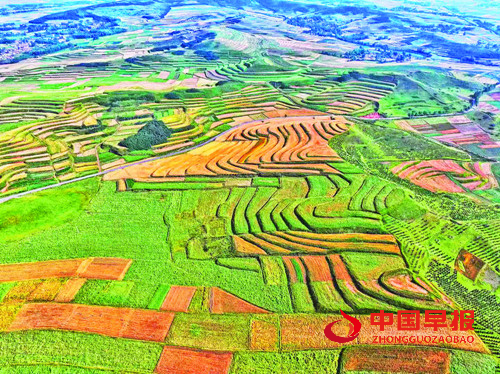 特色产业蓬勃发展 品牌建设成效显著：青海海东特色农业结硕果(图2)