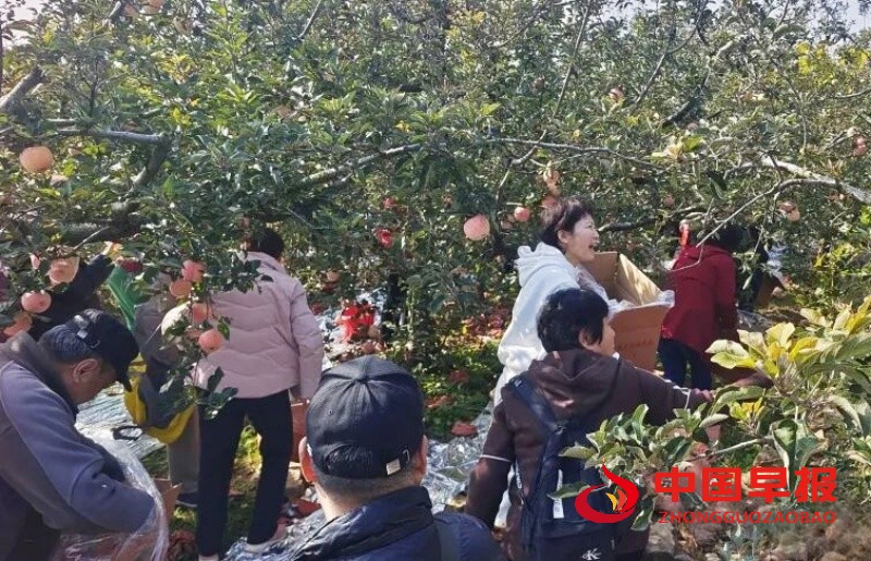 1761615943737236.jpg 640 (1)_副本_副本.jpg