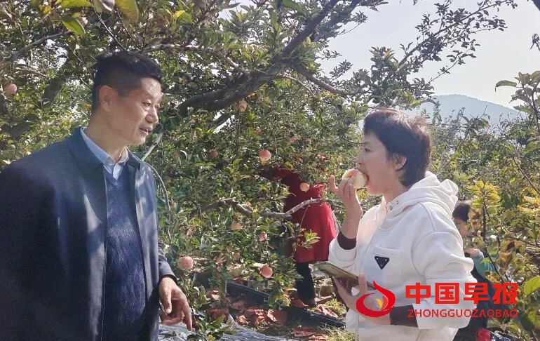 1761615972172477.jpg 640 (2)_副本.jpg