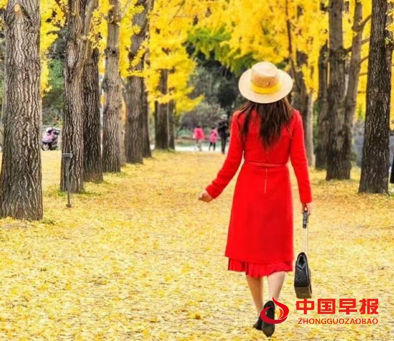 1763203863922382.jpg 微信图片_20251115184840_68_229_副本.jpg