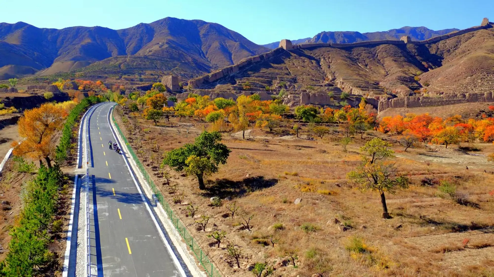 1764558504192481.jpeg 图片03.jpeg