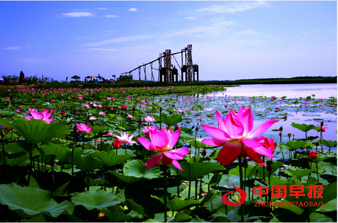 1765071610187835.png 1美丽长湖图片.png