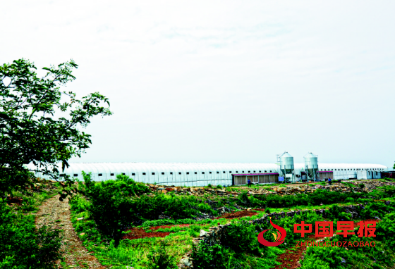 1765260815148013.png 2_副本.png