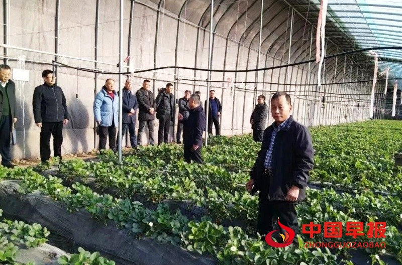 1765295689136410.jpg 640 (3)_副本.jpg