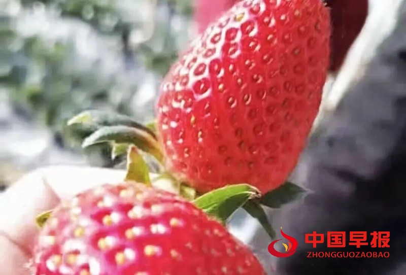 1765295697101947.jpg 640 (4)_副本.jpg