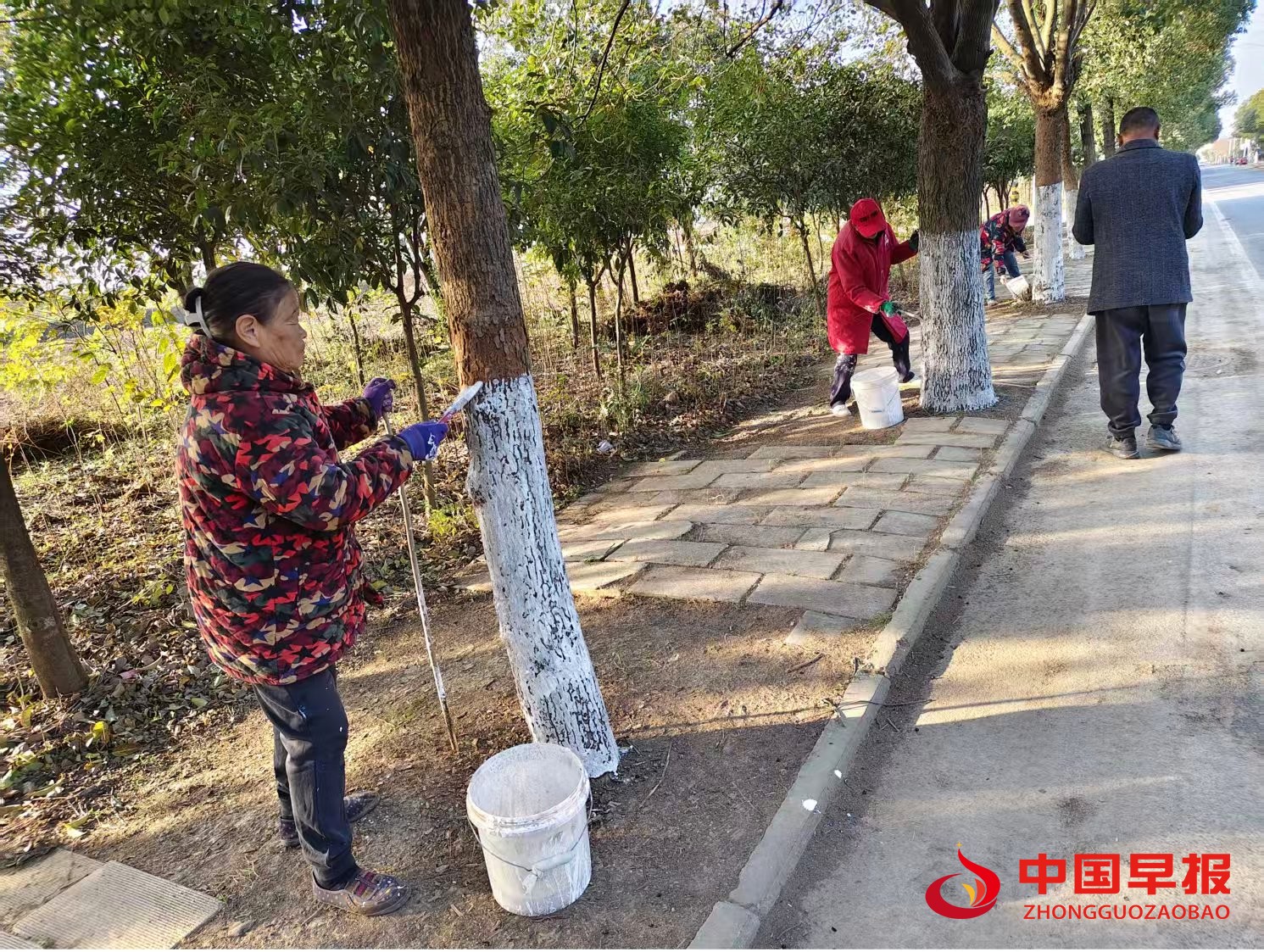 1765506316272124.jpg 1765506316272124.jpg