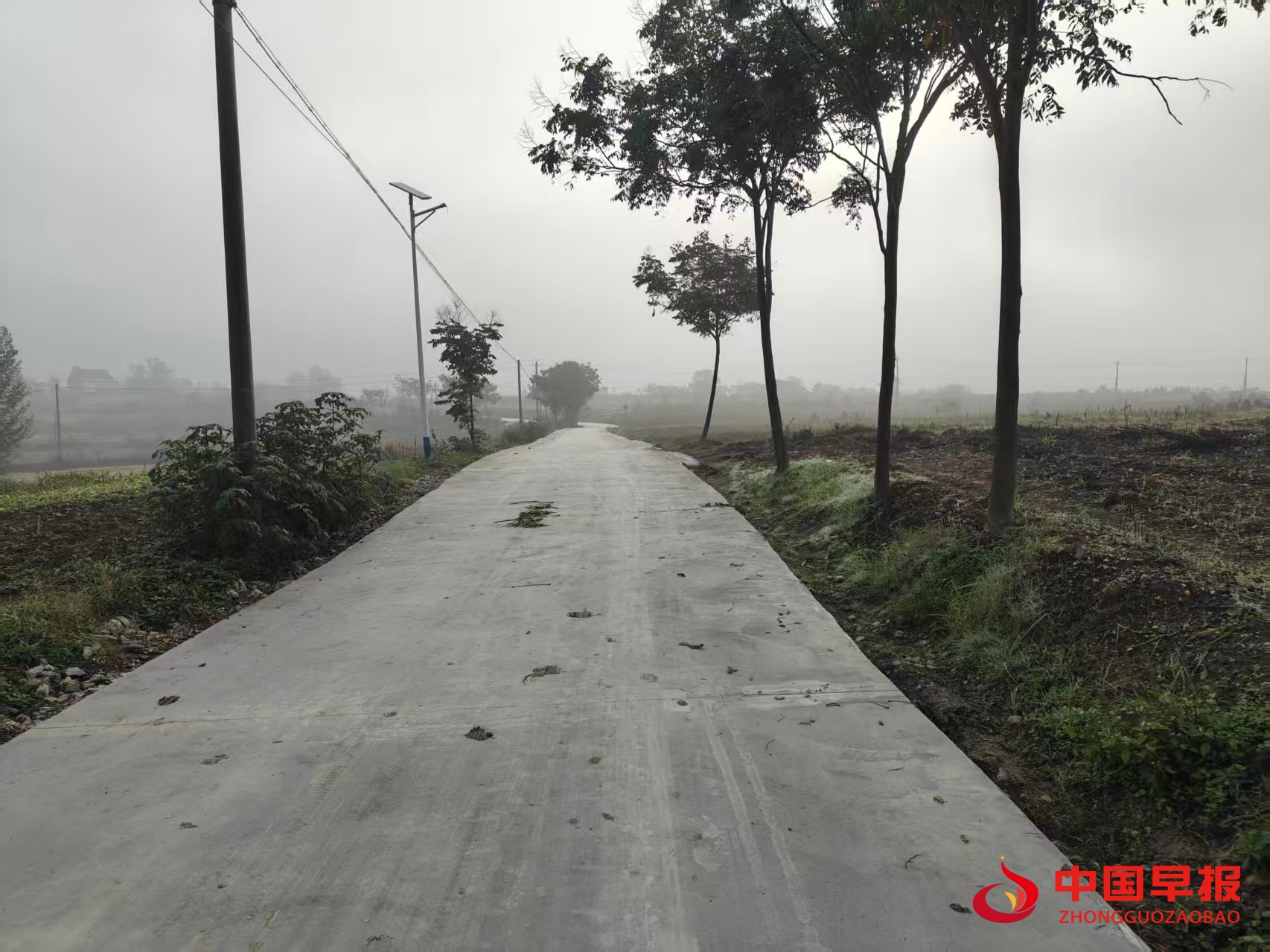 1765506823232826.jpg 1765506823232826.jpg