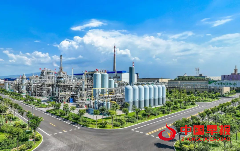 1765789534676153.png 图片08.png