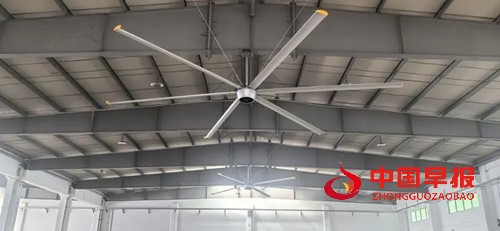 1766147660177546.jpg 6_副本.jpg