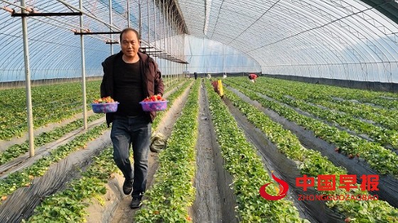 1766370278117175.jpg 微信图片_20251221185927_427_15.jpg